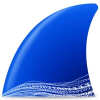 Wireshark icon